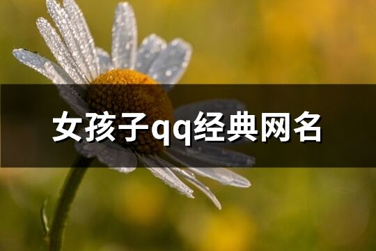 女孩子qq經典網名(精選379個)