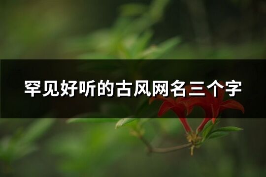 罕見好聽的古風(fēng)網(wǎng)名三個(gè)字(優(yōu)選336個(gè))