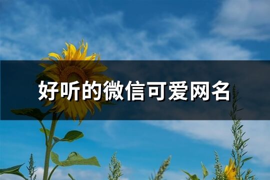 好聽的微信可愛網名(共275個)