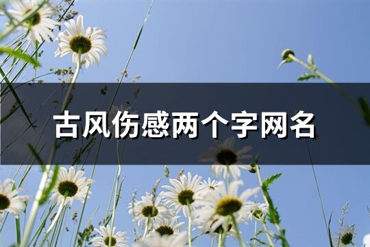 古風傷感兩個字網名(精選670個)