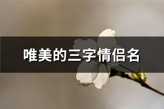 唯美的三字情侶名(109個)