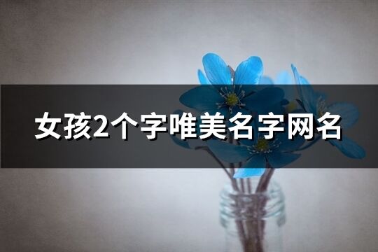 女孩2個字唯美名字網名(共282個)