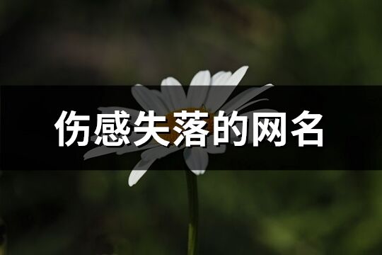傷感失落的網名(精選169個)
