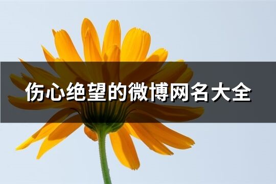 傷心絕望的微博網名大全(174個)