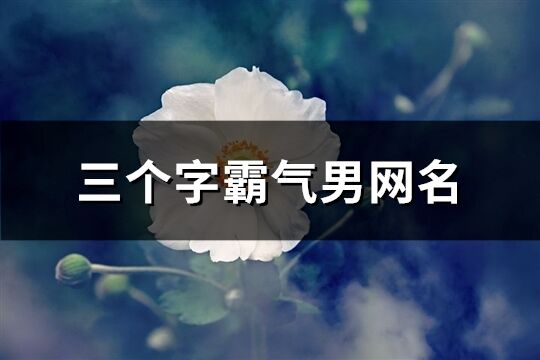 三個字霸氣男網(wǎng)名(215個)