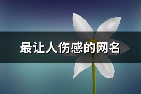 最讓人傷感的網名(共754個)
