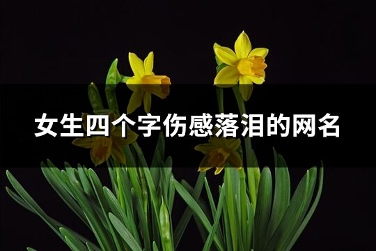 女生四個字傷感落淚的網名(優選1047個)