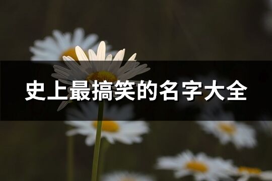 史上最搞笑的名字大全(精選304個)
