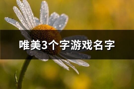 唯美3個字游戲名字(精選184個)