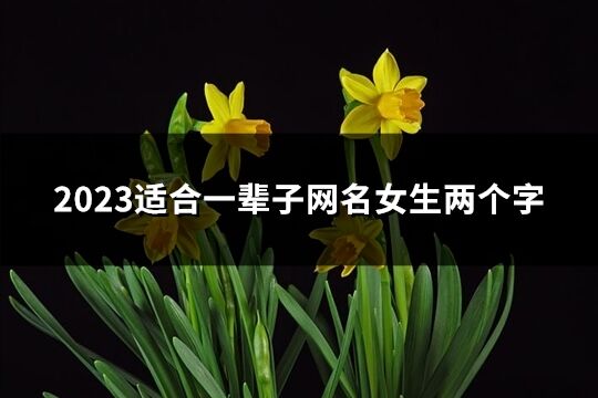 2023適合一輩子網(wǎng)名女生兩個字(共776個)