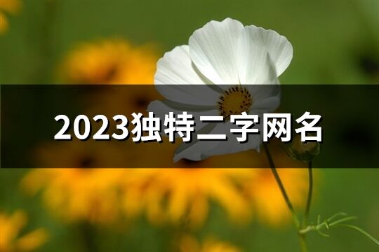 2023獨特二字網名(1694個)
