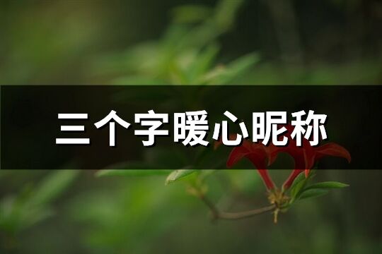 三個字暖心昵稱(458個)