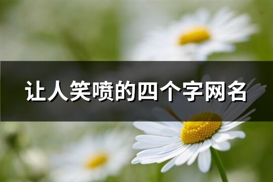 讓人笑噴的四個(gè)字網(wǎng)名(優(yōu)選634個(gè))