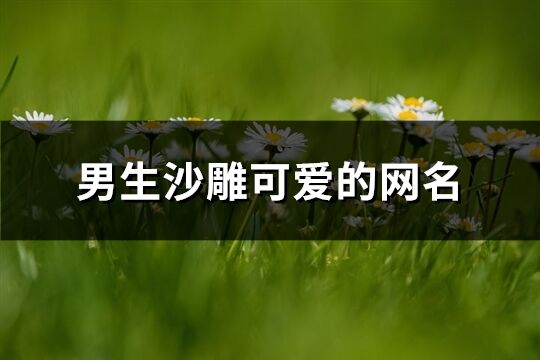 男生沙雕可愛的網名(共326個)