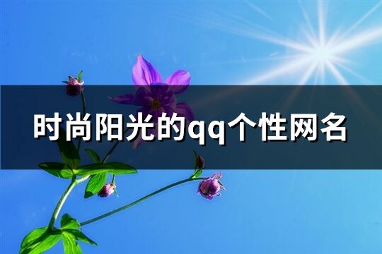 時尚陽光的qq個性網名(291個)