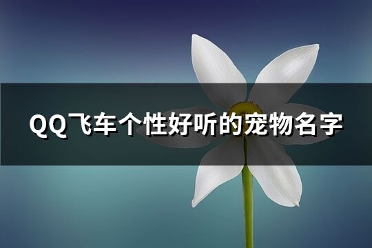 QQ飛車個性好聽的寵物名字(優選214個)