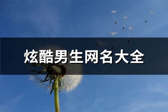 炫酷男生網名大全(優選267個)