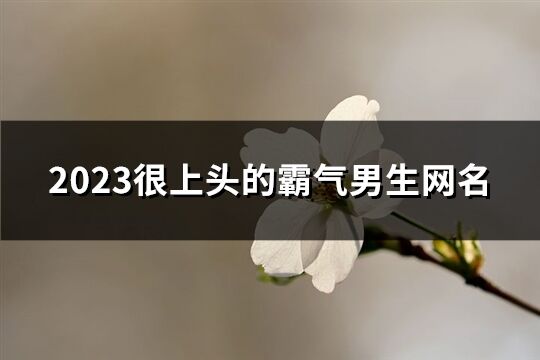 2023很上頭的霸氣男生網名(共1405個)