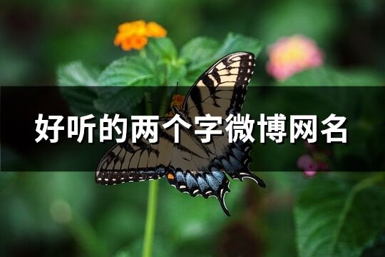 好聽的兩個字微博網名(821個)
