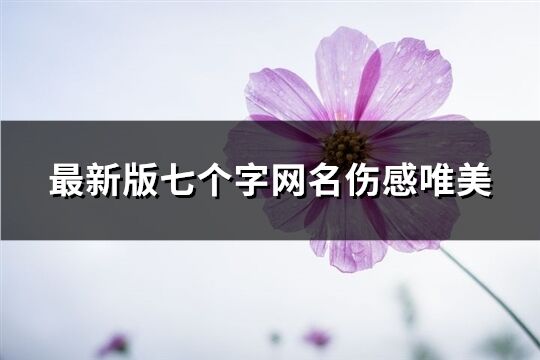 最新版七個字網(wǎng)名傷感唯美(優(yōu)選333個)