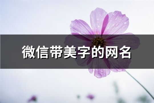微信帶美字的網名(精選83個)