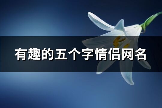 有趣的五個字情侶網(wǎng)名(精選576個)