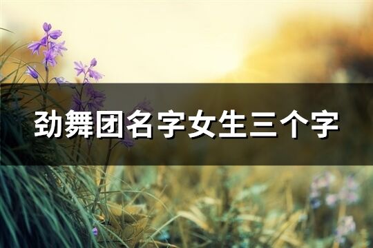 勁舞團名字女生三個字(422個)