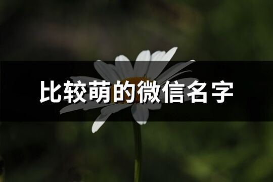 比較萌的微信名字(優選261個)
