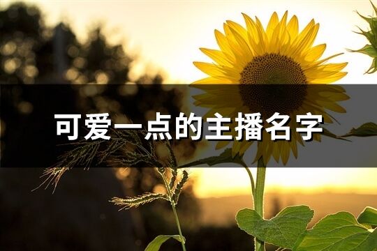 可愛一點的主播名字(精選134個)