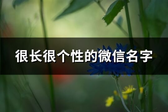 很長很個性的微信名字(447個)