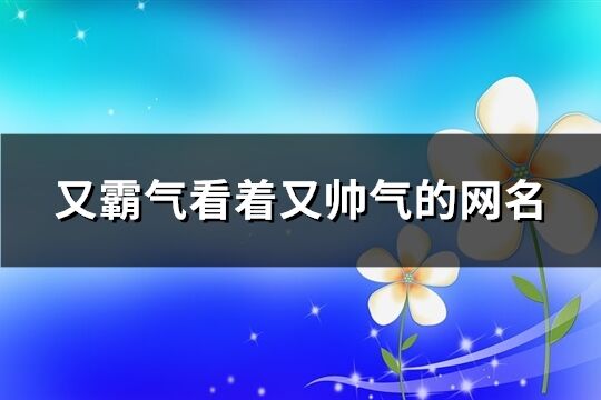 又霸氣看著又帥氣的網名(共656個)