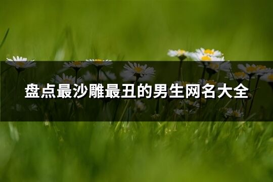 盤點(diǎn)最沙雕最丑的男生網(wǎng)名大全(優(yōu)選650個(gè))