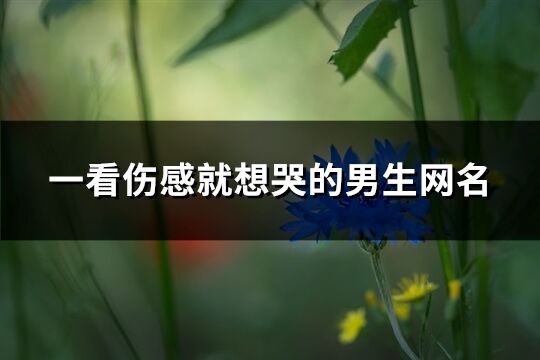 一看傷感就想哭的男生網名(230個)