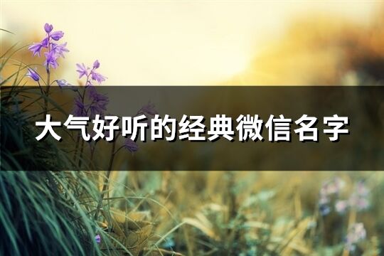大氣好聽的經(jīng)典微信名字(精選994個(gè))