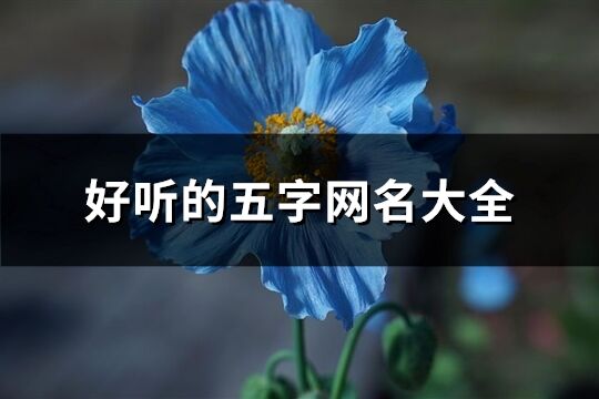 好聽的五字網名大全(精選857個)