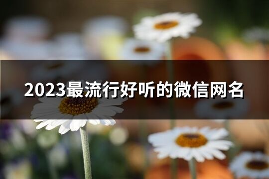 2023最流行好聽(tīng)的微信網(wǎng)名(精選1132個(gè))