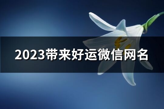 2023帶來好運微信網(wǎng)名(優(yōu)選945個)
