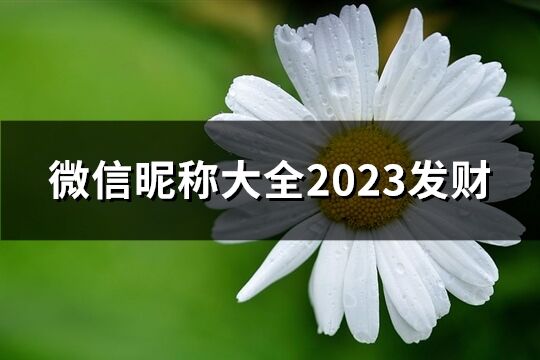 微信昵稱大全2023發(fā)財(836個)