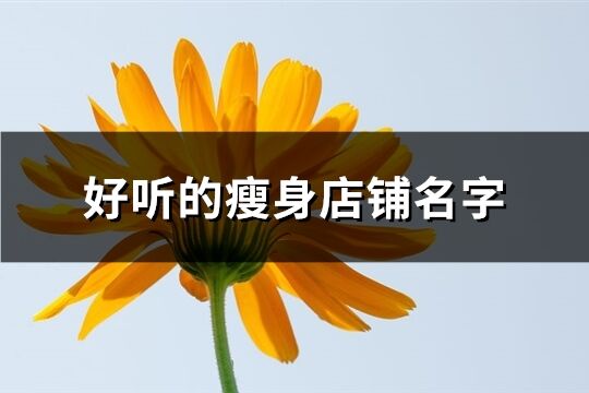 好聽的瘦身店鋪名字(優(yōu)選144個(gè))