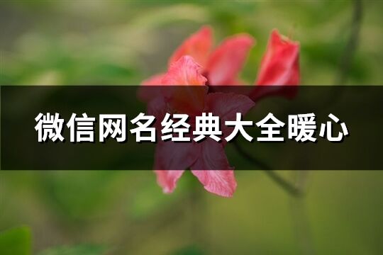 微信網名經典大全暖心(精選819個)