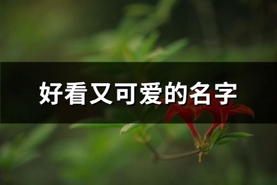 好看又可愛的名字(精選669個)