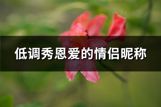 低調秀恩愛的情侶昵稱(252個)
