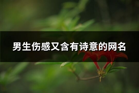 男生傷感又含有詩意的網名(精選510個)