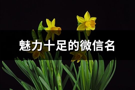 魅力十足的微信名(精選382個)