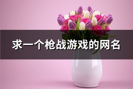 求一個(gè)***戰(zhàn)游戲的網(wǎng)名(優(yōu)選206個(gè))