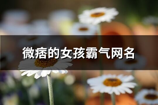 微痞的女孩霸氣網(wǎng)名(74個(gè))