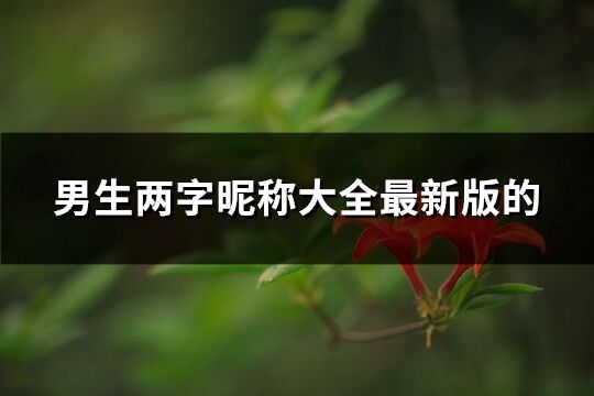 男生兩字昵稱大全最新版的(優選1315個)