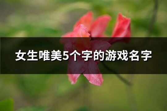 女生唯美5個字的游戲名字(共386個)