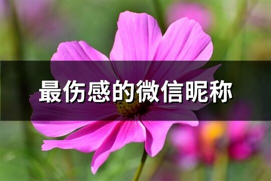 最傷感的微信昵稱(共900個)