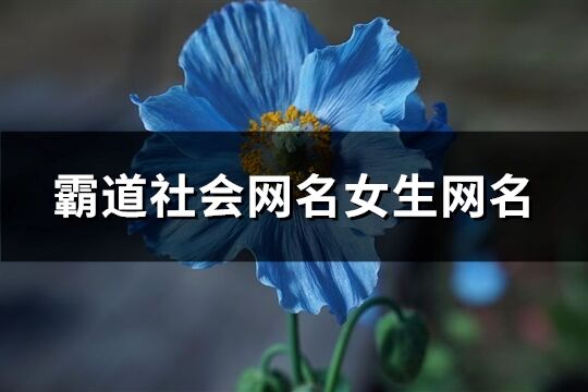 霸道社會(huì)網(wǎng)名女生網(wǎng)名(精選289個(gè))